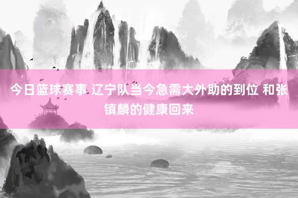 今日篮球赛事 辽宁队当今急需大外助的到位 和张镇麟的健康回来