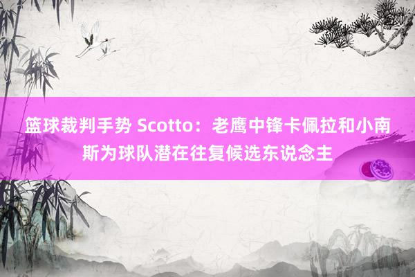 篮球裁判手势 Scotto：老鹰中锋卡佩拉和小南斯为球队潜在往复候选东说念主